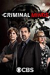 Mentes Criminales (14ª Temporada)